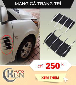 Mang cá trang trí sành điệu